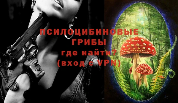 mix Приозерск