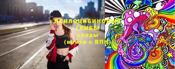 spice Алексин