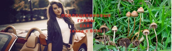 молекула духа Алексеевка