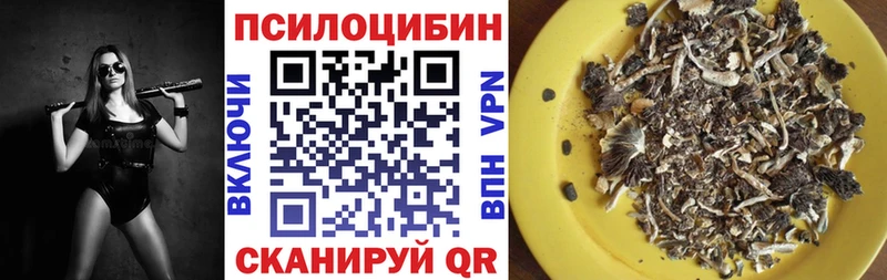 MEGA рабочий сайт где можно купить Бавлы shop состав Галлюциногенные грибы мицелий